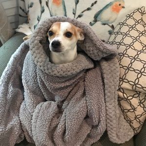 Meet your Posher, Tanneth